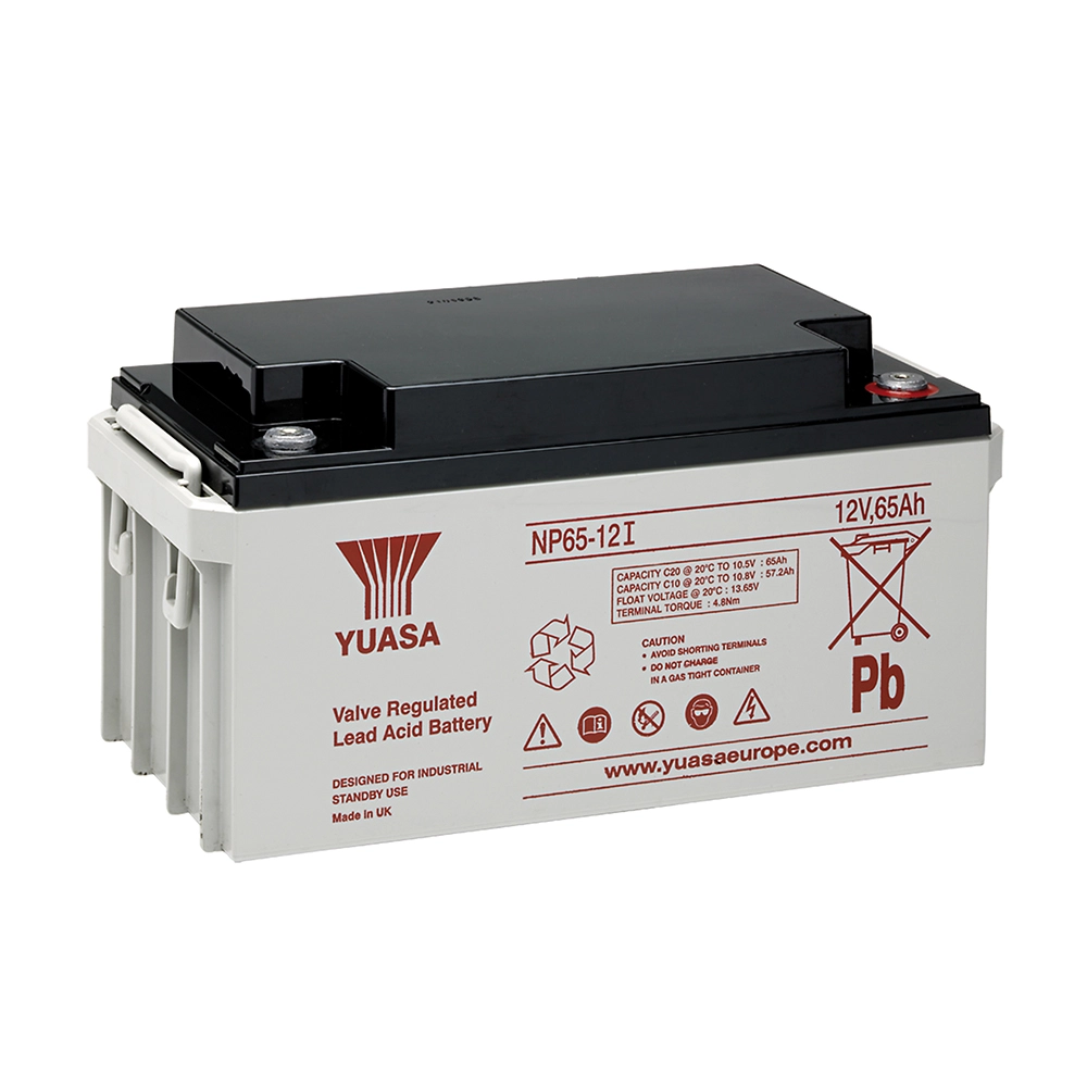 Yuasa NP65-12i