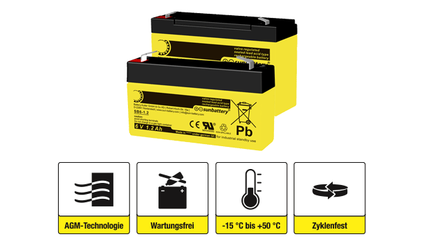 2 Batterien der Standard 6 V Serie von SUN Battery mit Icons und Erklärungen darunter