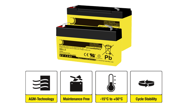 2 batteries of the standard 6 V series from SUN Battery with icons and explanations underneath