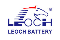 Leoch Logo